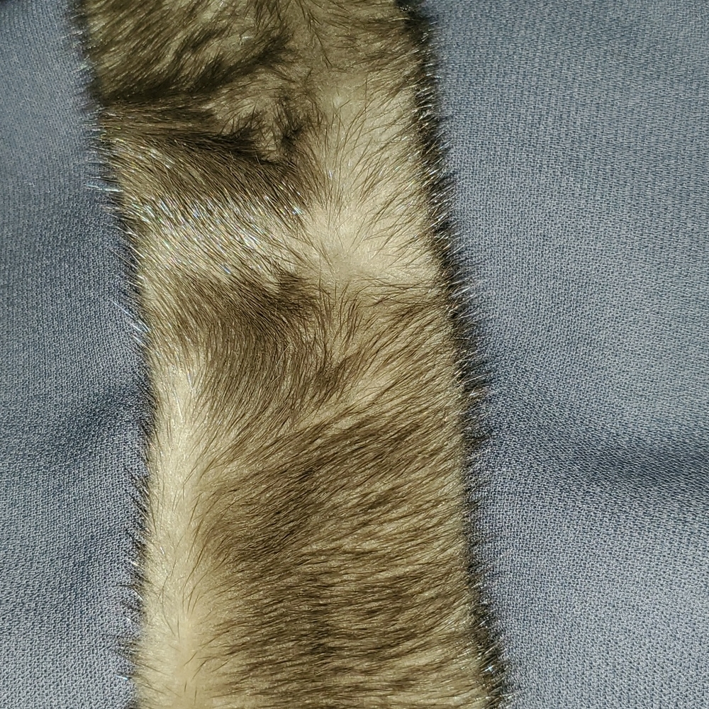 Chetta B 2pc Suit View 5